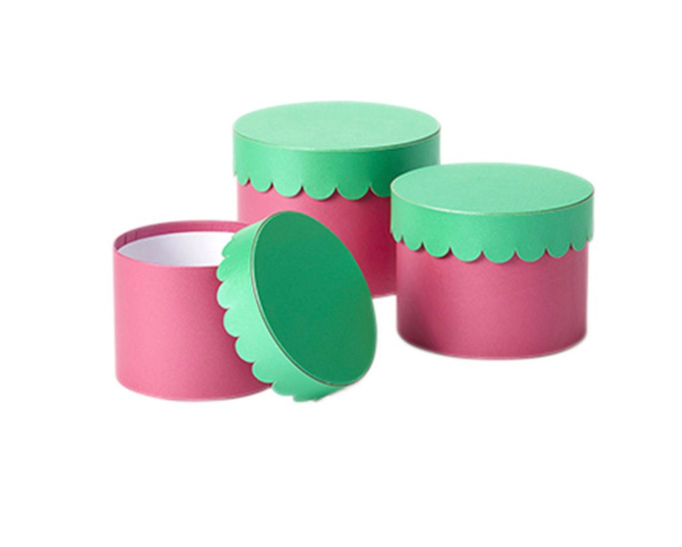 Viva La Vida Green Grosgrain Ribbon 15mm width, Matching Hat Boxes and Wrapping Paper, Birthday Bows Decoration