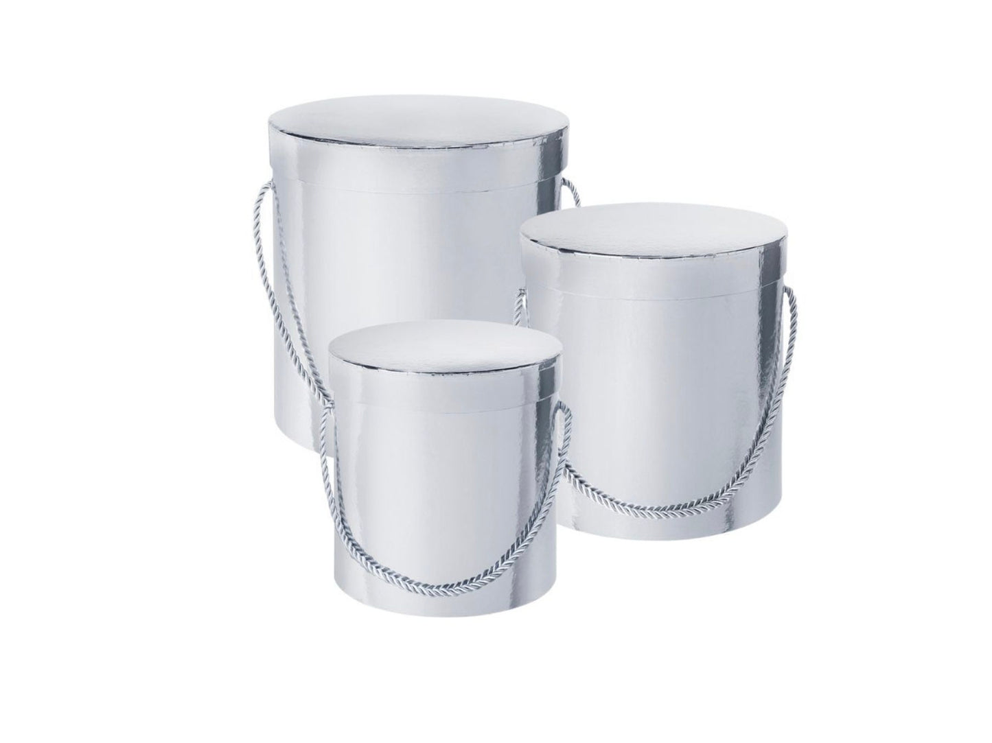 Hat Boxes Set Of 3 Larger Sized Round Storage Boxes, Silver, Designer Flower Pot, Eco Friendly,