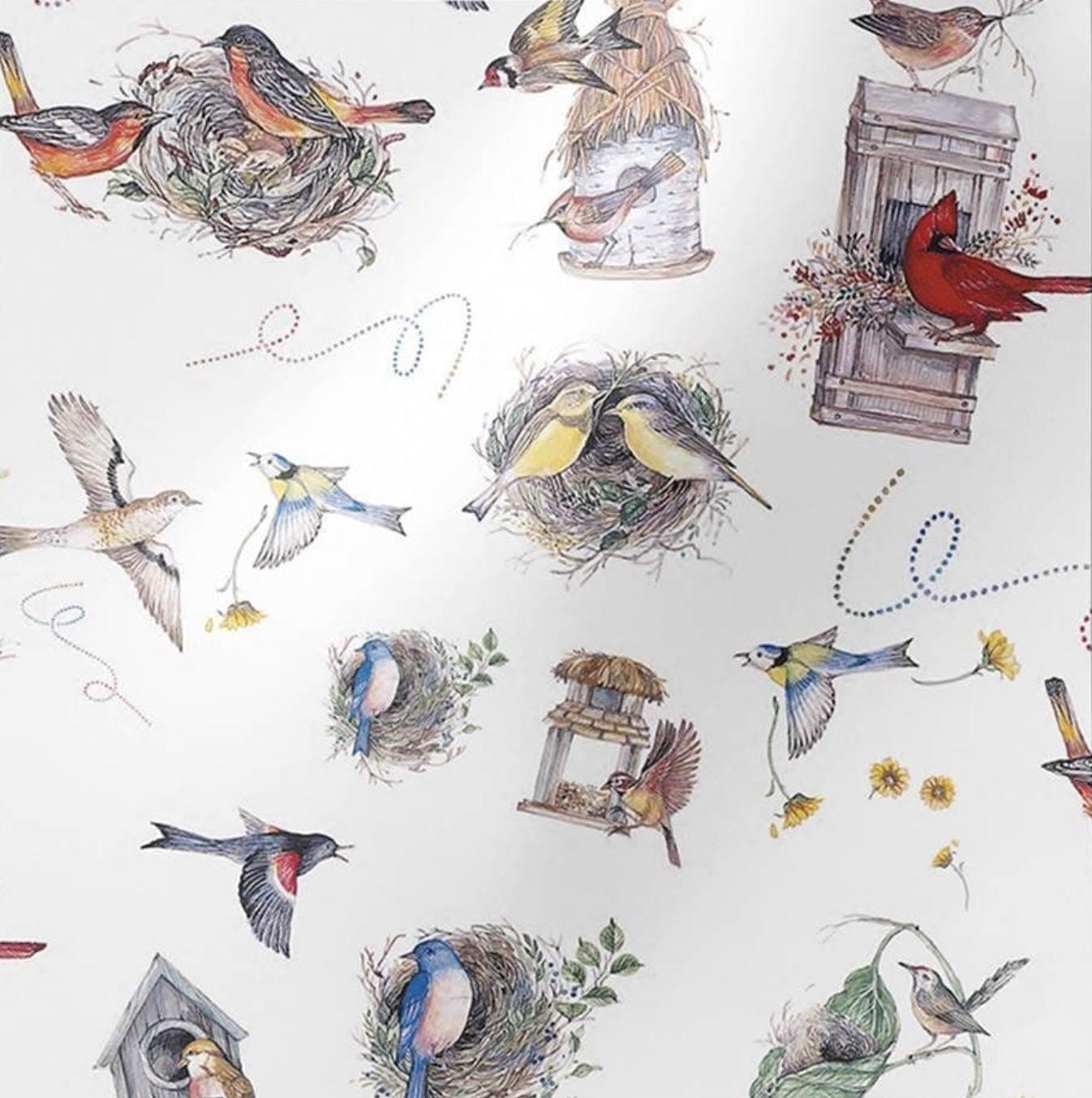Tissue Paper Birds Nests And Boxes Print Luxury Thick 18GSM Sheets Eco Friendly Full Size 75cm x 50cm 1-10 Sheets Folded