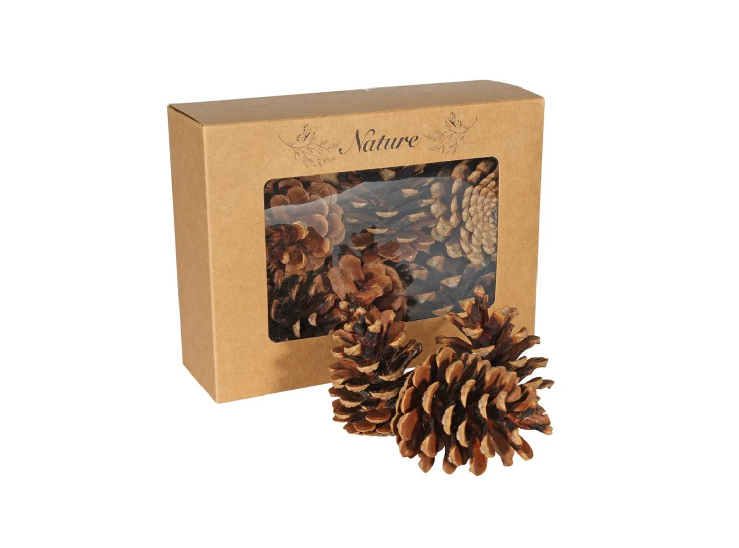 Dried Fruits & Cones In a Presentation Box