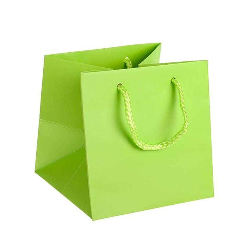 Premium Luxury Lime Green Paper Wedding Christmas Birthday Favour Hand Tie Gift Bags With Cotton Handles 17 x 17 x 17 cm