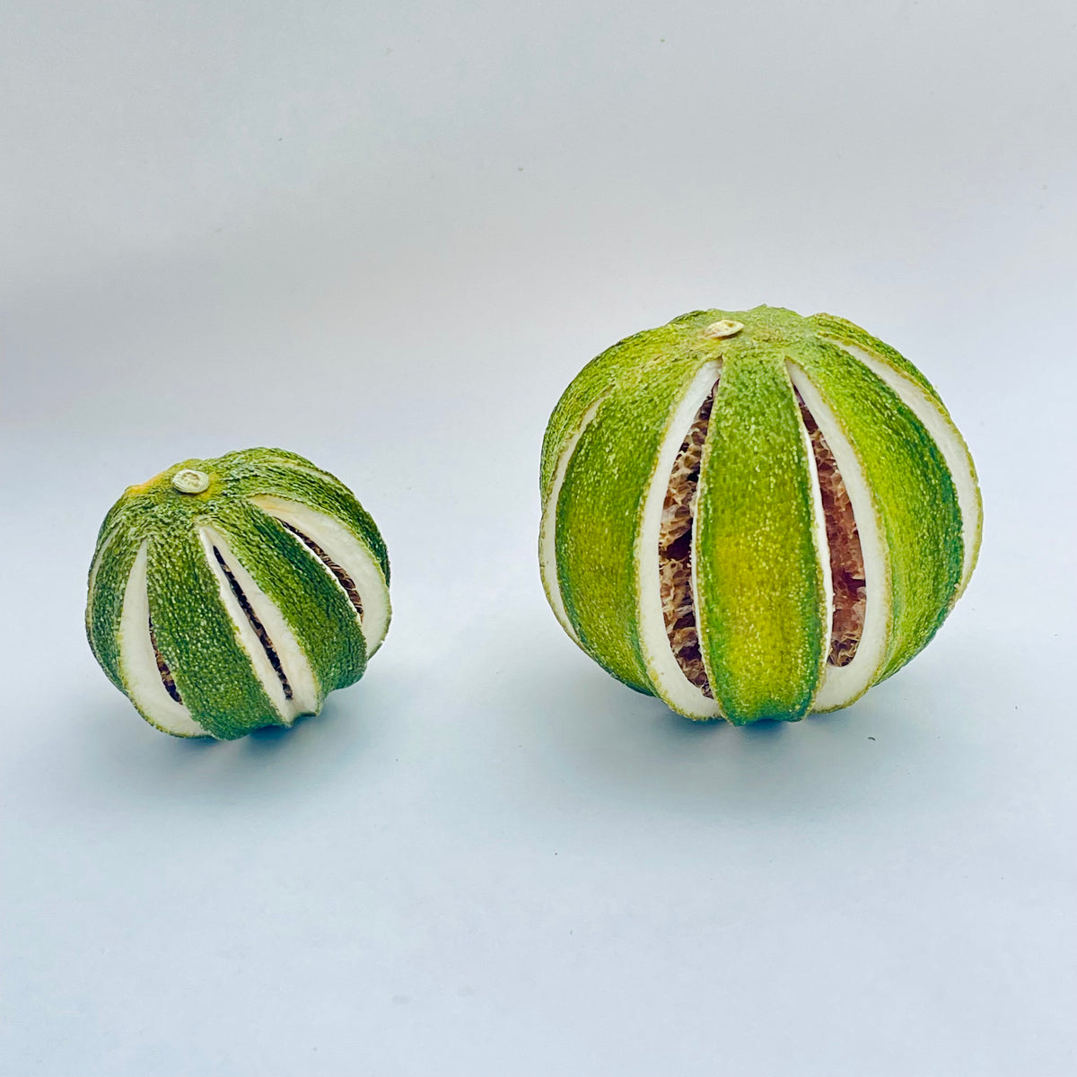 Dried Whole Green Limes & Whole Green Oranges – Mixed Packs of 6, 12, 18 or 24 PurpleRama