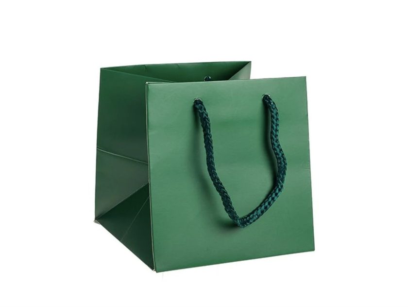 Premium Luxury Green Paper Wedding Christmas Birthday Favour Hand Tie Gift Bags With Cotton Handles 17 x 17 x 17 cm