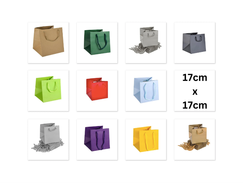 Premium Luxury Green Paper Wedding Christmas Birthday Favour Hand Tie Gift Bags With Cotton Handles 17 x 17 x 17 cm