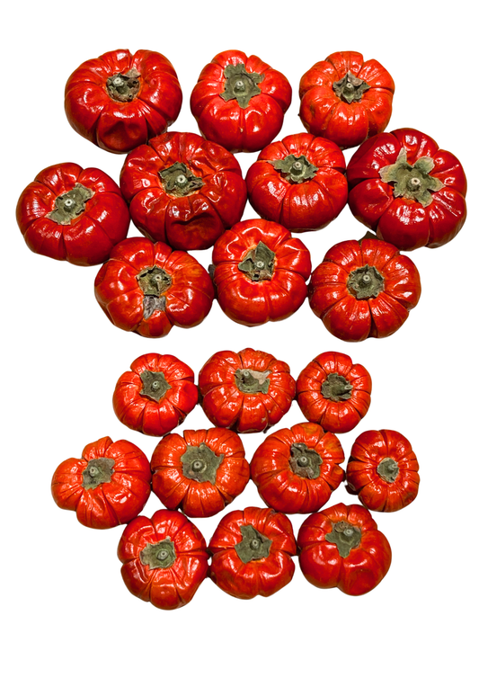 Decorative Dried Mini Pumpkins Small & Large Autumn Halloween Craft Decor