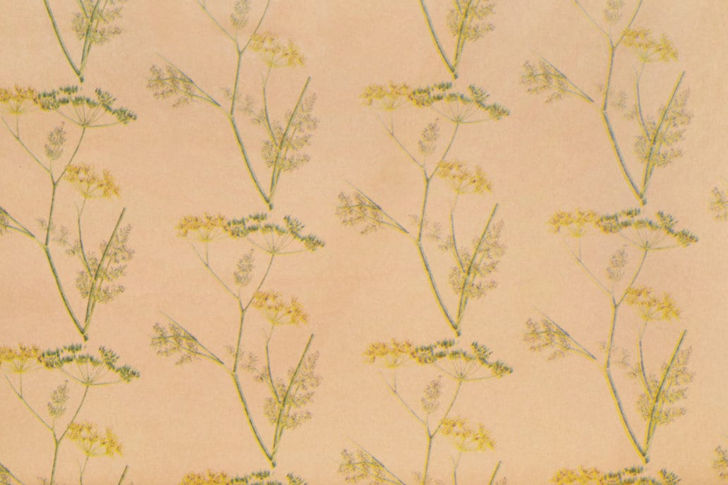 Wrapping Paper Cow Parsley 50CM Wide Eco Friendly, 100% Recycled Kraft | Recyclable, Sustainable, Plastic Free Gift Wrap