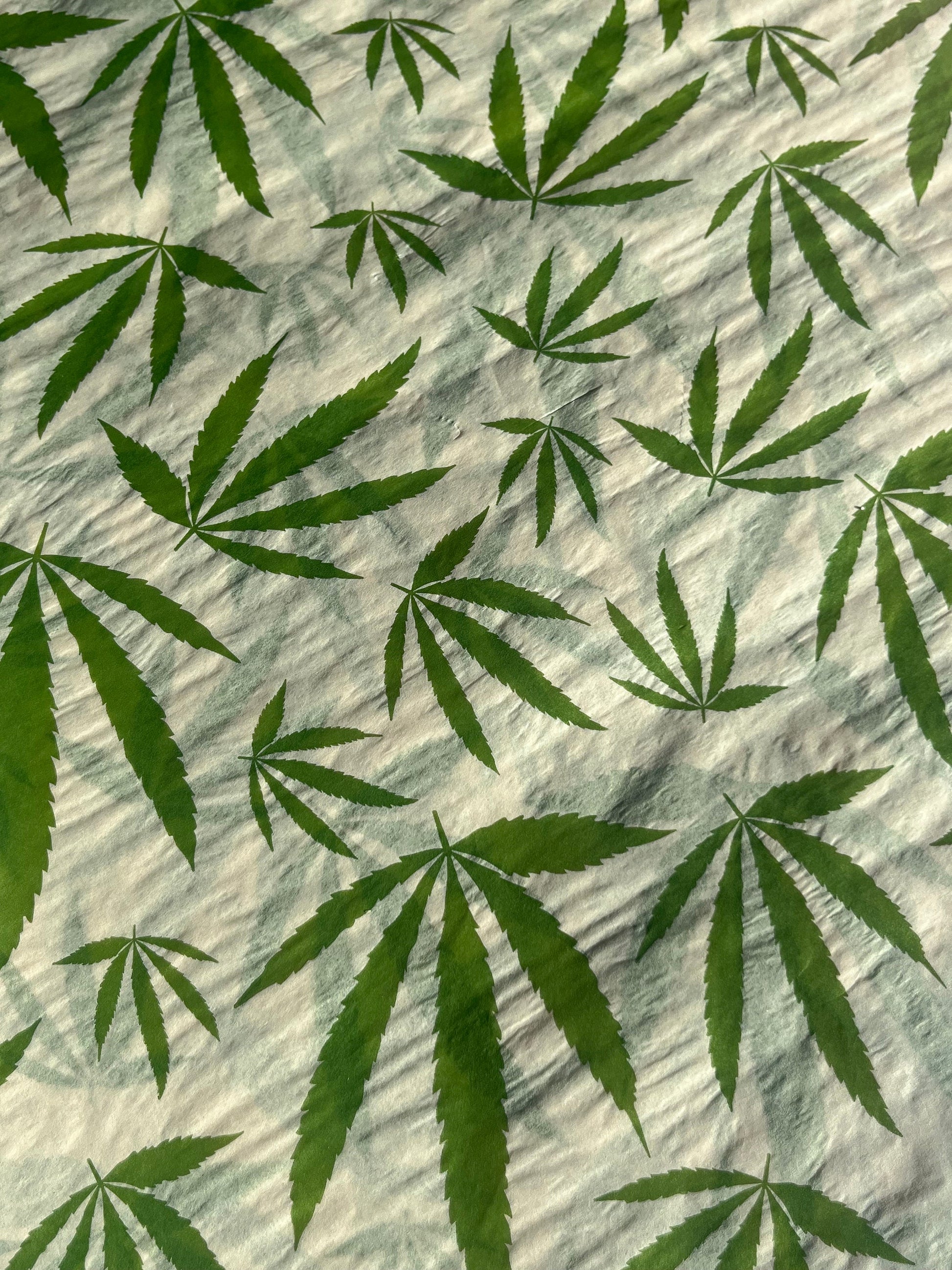 Tissue Paper Cannabis Leaf Luxury Thick 18GSM Sheets Eco Friendly Full Size 75cm x 50cm 1-10 Sheets Folded