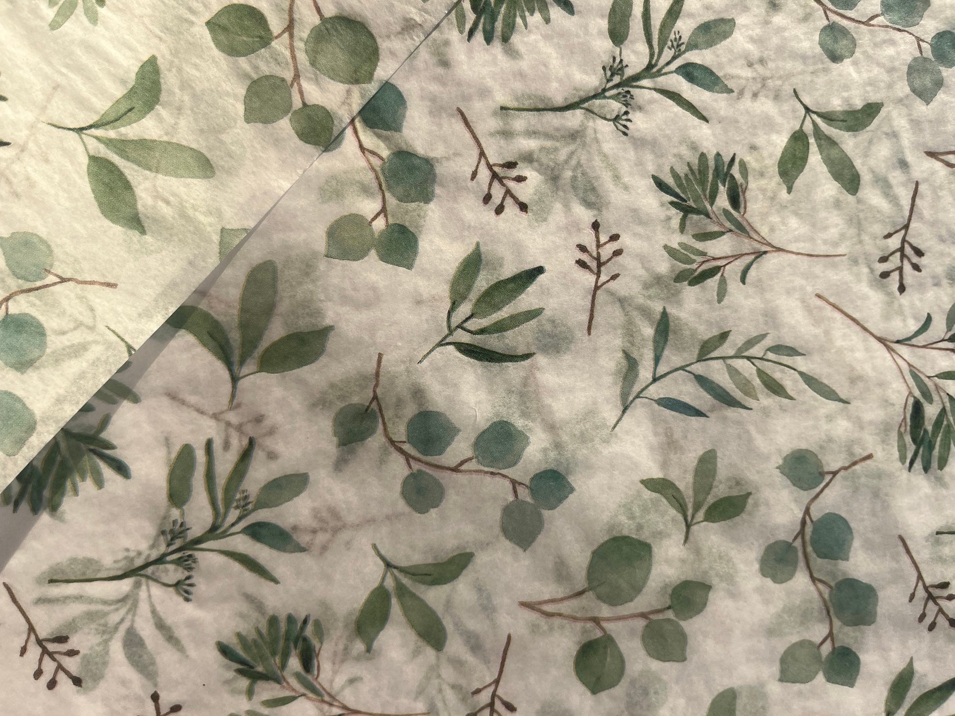 Tissue Paper Eucalyptus Botanical Print Luxury Thick 18GSM Sheets Eco Friendly Full Size 75cm x 50cm 1-10 Sheets Folded