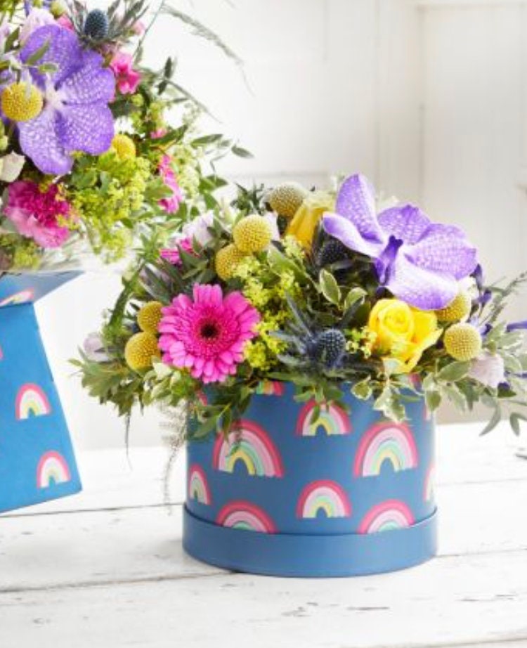 Hat Boxes Set Of 3 Round Storage Boxes, Rainbow Print, Designer Flower Pot, Eco Friendly,