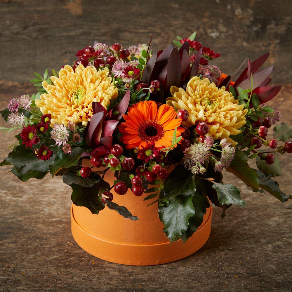 Hat Boxes Set Of 3 Round Storage Boxes, Peach, Designer Flower Pot, Eco Friendly,