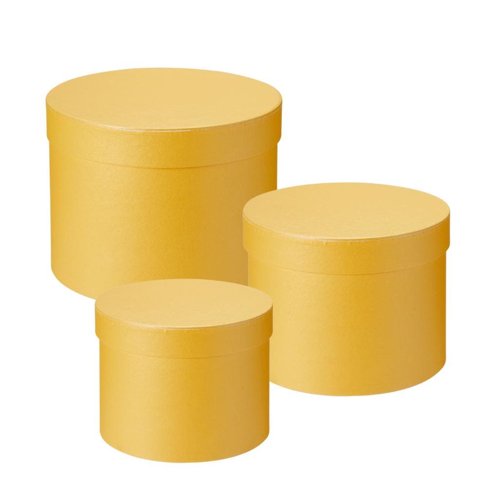 Hat Boxes Set Of 3 Round Storage Boxes, Yellow, Designer Flower Pot, Eco Friendly,