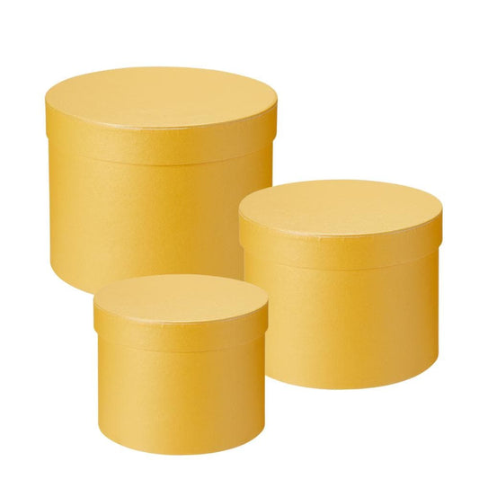 Hat Boxes Set Of 3 Round Storage Boxes, Yellow, Designer Flower Pot, Eco Friendly,