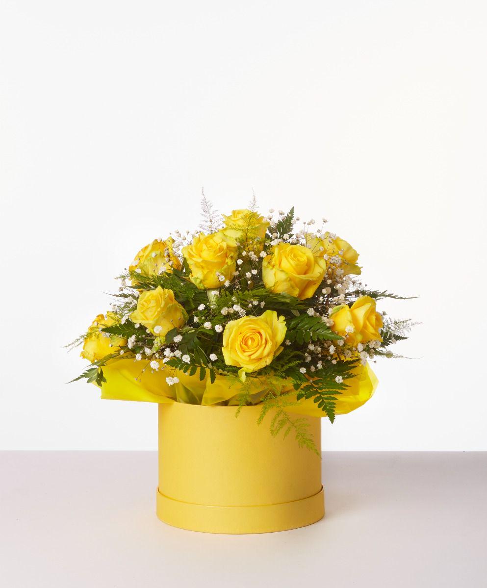 Hat Boxes Set Of 3 Round Storage Boxes, Yellow, Designer Flower Pot, Eco Friendly,