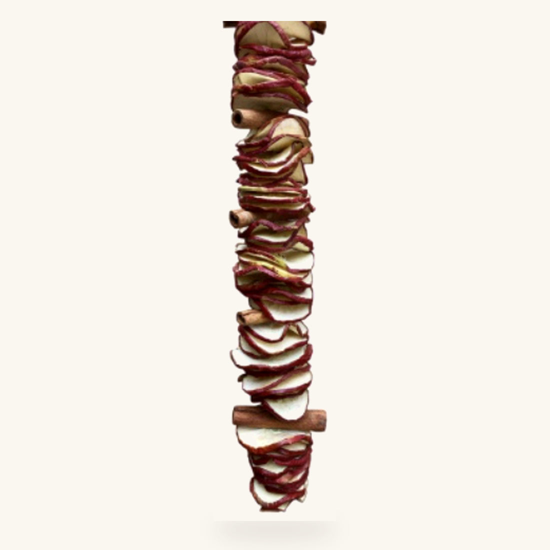 red apple slices cinnamon